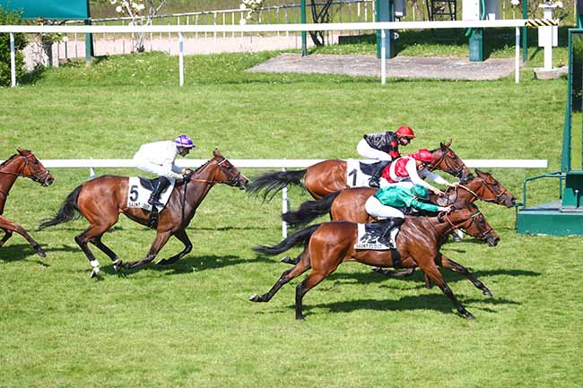 Photo d'arrivée de la course pmu PRIX CALANDRIA à SAINT CLOUD le Dimanche 28 mai 2023