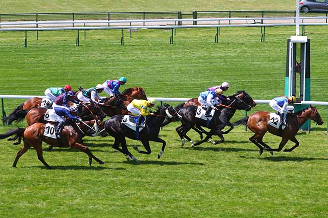 Photo d'arrivée de la course pmu PRIX DU HARAS ROYAL DE MEUDON à LONGCHAMP le Lundi 29 mai 2023
