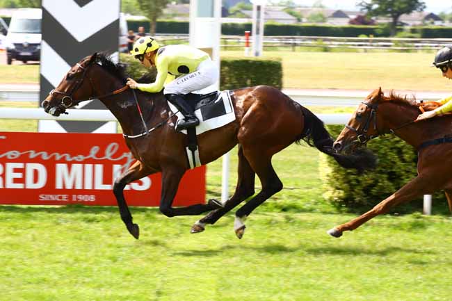 Photo d'arrivée de la course pmu PRIX DES JARDINS DU MAIL à ANGERS le Mardi 30 mai 2023