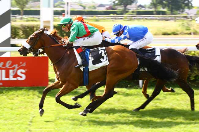 Photo d'arrivée de la course pmu PRIX HENRI CHEVALIER DU FAU à ANGERS le Mardi 30 mai 2023