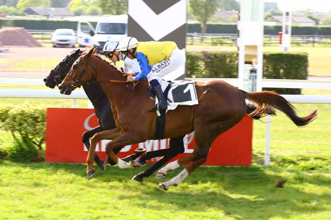Photo d'arrivée de la course pmu PRIX DAVID D'ANGERS à ANGERS le Mardi 30 mai 2023