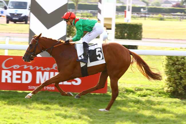 Photo d'arrivée de la course pmu PRIX DE PUYCHARIC à ANGERS le Mardi 30 mai 2023