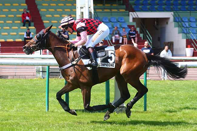 Photo d'arrivée de la course pmu PRIX LE BOUIF à COMPIEGNE le Mardi 30 mai 2023