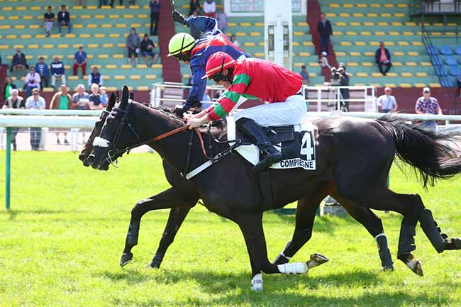 Photo d'arrivée de la course pmu PRIX XAVIER DE CHEVIGNY à COMPIEGNE le Mardi 30 mai 2023