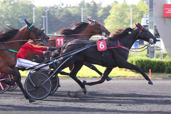 Photo d'arrivée de la course pmu PRIX KALMIA à PARIS-VINCENNES le Mardi 30 mai 2023