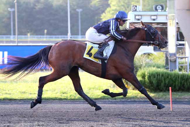 Photo d'arrivée de la course pmu PRIX SERPENTIS à PARIS-VINCENNES le Mardi 30 mai 2023