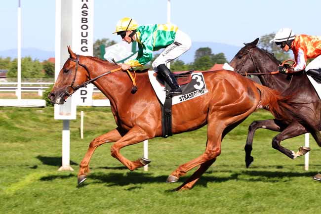 Photo d'arrivée de la course pmu PRIX BFM ALSACE (PRIX DE LA MUSIQUE) à STRASBOURG le Mercredi 31 mai 2023