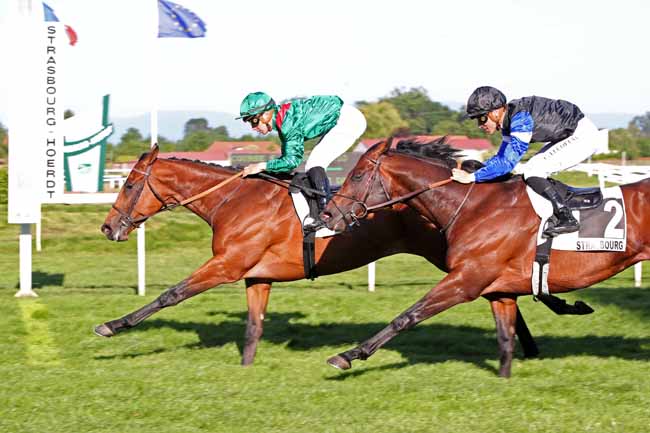 Photo d'arrivée de la course pmu PRIX NATHANAELLE ARTU à STRASBOURG le Mercredi 31 mai 2023