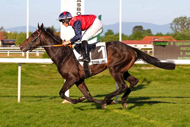 Photo d'arrivée de la course pmu PRIX ROCK'N ROLL à STRASBOURG le Mercredi 31 mai 2023