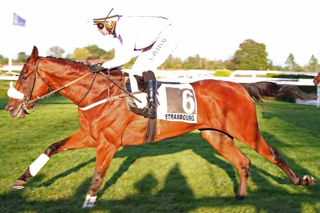 Photo d'arrivée de la course pmu PRIX KLEBER à STRASBOURG le Mercredi 31 mai 2023