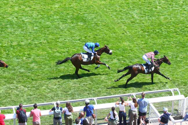 Photo d'arrivée de la course pmu PRIX ROCKING CHAIR à AUTEUIL le Samedi 3 juin 2023