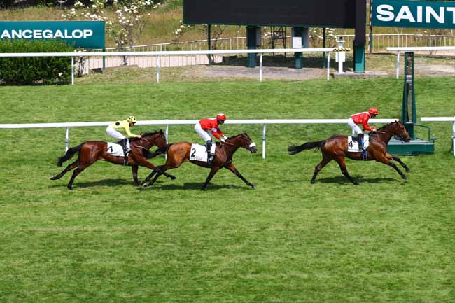 Photo d'arrivée de la course pmu PRIX BIRUM à SAINT CLOUD le Mardi 6 juin 2023