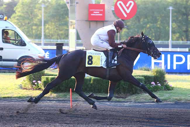 Photo d'arrivée de la course pmu PRIX CYGNUS à PARIS-VINCENNES le Mardi 6 juin 2023
