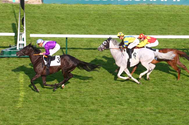 Photo d'arrivée de la course pmu PRIX DU PALAIS DE LA DECOUVERTE à LONGCHAMP le Jeudi 8 juin 2023