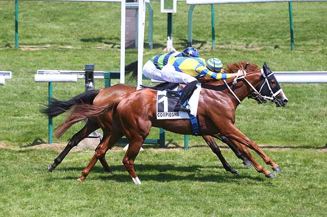 Photo d'arrivée de la course pmu PRIX D'AIGUISY à COMPIEGNE le Vendredi 9 juin 2023