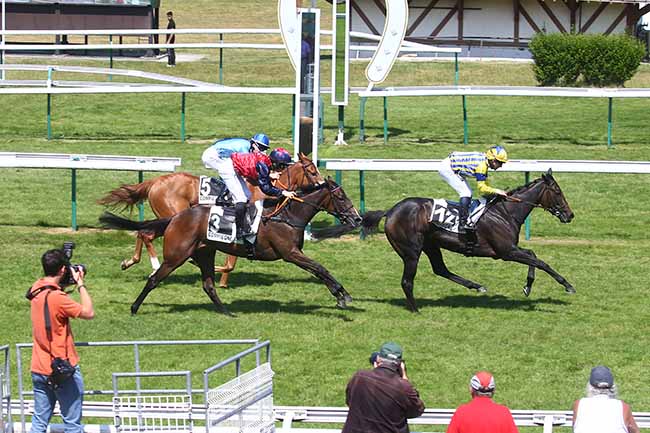 Photo d'arrivée de la course pmu PRIX DES HAMADRYADES à COMPIEGNE le Vendredi 9 juin 2023