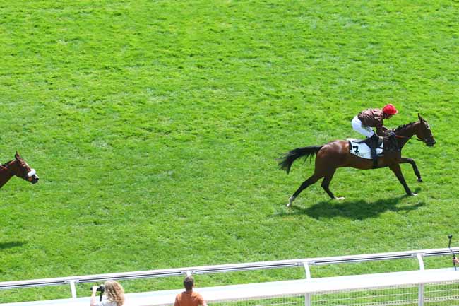 Photo d'arrivée de la course pmu PRIX D'IENA à AUTEUIL le Samedi 10 juin 2023