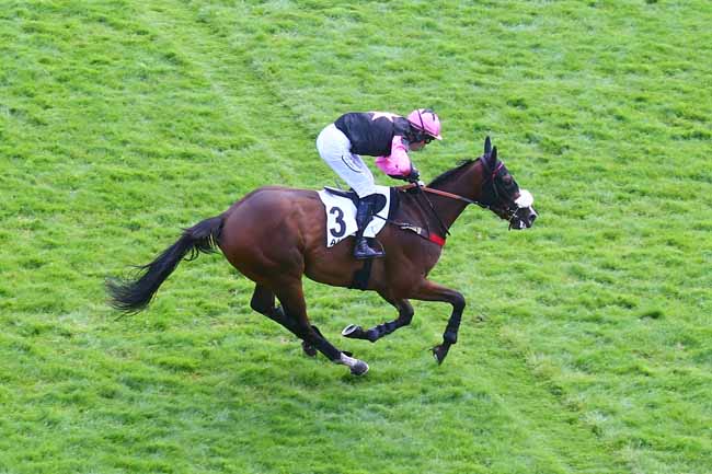 Photo d'arrivée de la course pmu PRIX STANLEY à AUTEUIL le Samedi 10 juin 2023