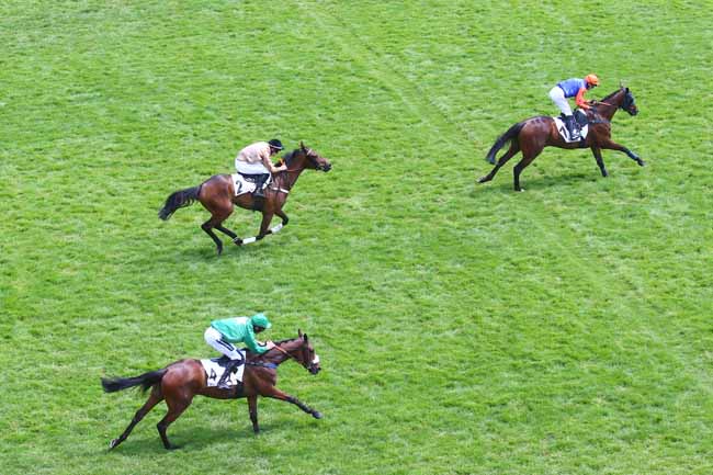 Photo d'arrivée de la course pmu PRIX DU NOUVEAU CERCLE DE L'UNION - PRIX GACKO à AUTEUIL le Samedi 10 juin 2023