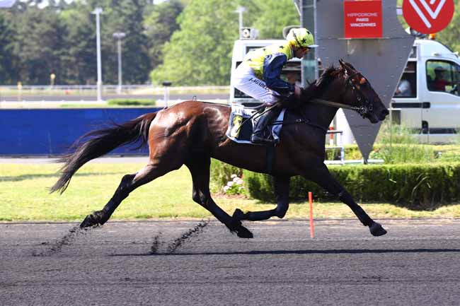 Photo d'arrivée de la course pmu PRIX AURIGA à PARIS-VINCENNES le Mardi 13 juin 2023