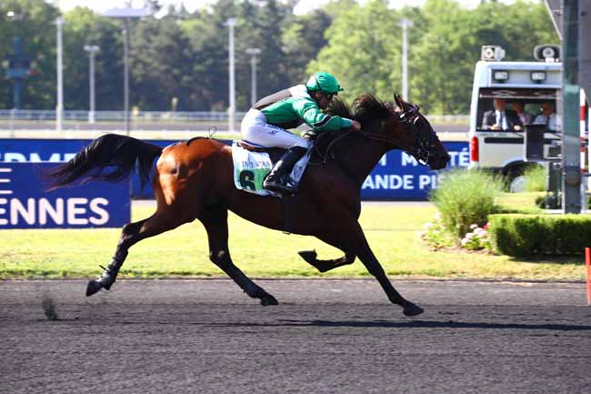 Photo d'arrivée de la course pmu PRIX DE PLOERMEL à PARIS-VINCENNES le Mardi 13 juin 2023
