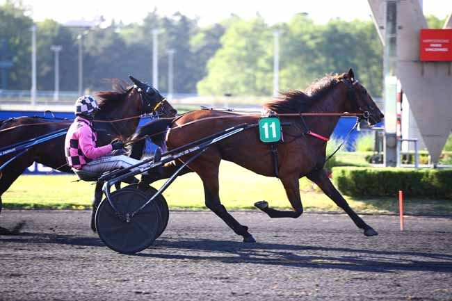 Photo d'arrivée de la course pmu PRIX PENELOPE à PARIS-VINCENNES le Mardi 13 juin 2023