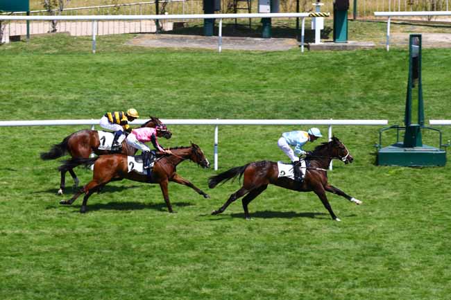 Photo d'arrivée de la course pmu PRIX DE LA RABLAIS à SAINT CLOUD le Mercredi 14 juin 2023