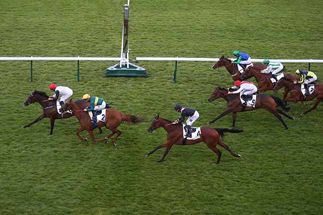 Photo d'arrivée de la course pmu DARLEY PRIX DE THIBERVILLE à LONGCHAMP le Jeudi 15 juin 2023
