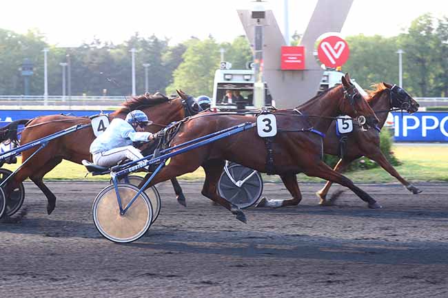 Photo d'arrivée de la course pmu PRIX TOLOSA à PARIS-VINCENNES le Vendredi 16 juin 2023