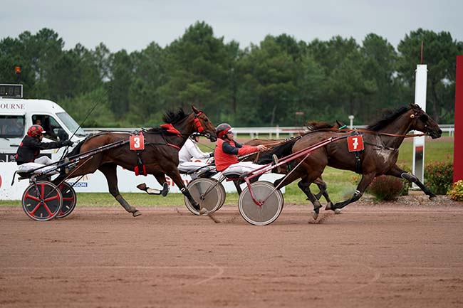 Photo d'arrivée de la course pmu PRIX DE L'ASSOCIATION DES VIGNERONS DE LANGON à LANGON le Mercredi 21 juin 2023