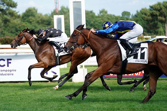 Photo d'arrivée de la course pmu PRIX DU BASSIN D'ARCACHON - STOA PROMOTION à LA TESTE DE BUCH le Jeudi 22 juin 2023