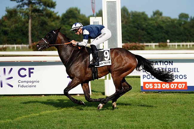 Photo d'arrivée de la course pmu PRIX MAISONS OMEGA à LA TESTE DE BUCH le Jeudi 22 juin 2023