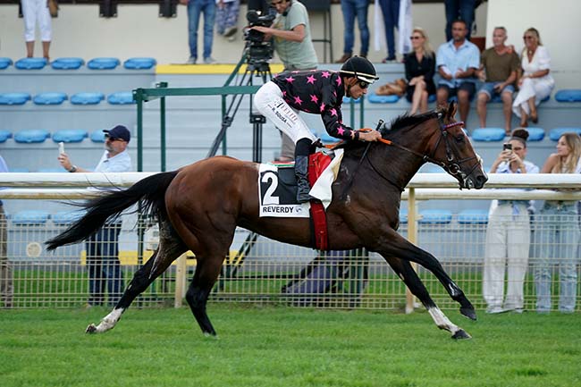 Photo d'arrivée de la course pmu PRIX REVERDY NUTRITION EQUINE à LA TESTE DE BUCH le Jeudi 22 juin 2023