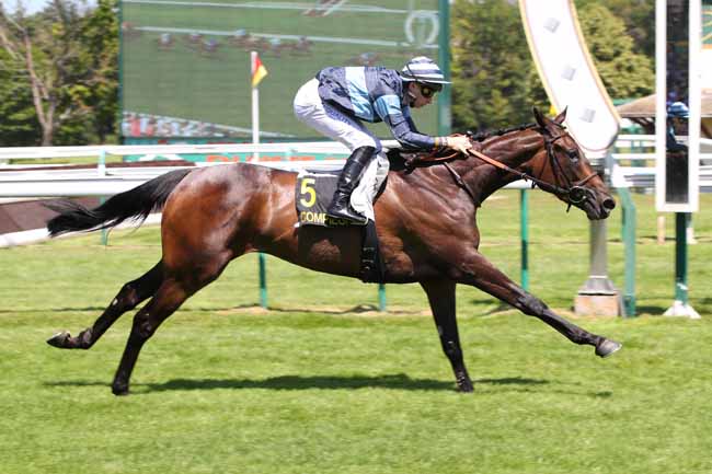 Photo d'arrivée de la course pmu PRIX DE LA FONDATION CLAUDE POMPIDOU (PRIX ADELAIDE) à COMPIEGNE le Samedi 24 juin 2023