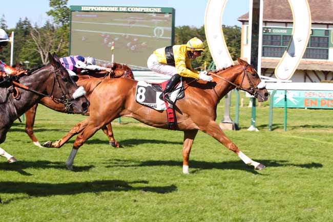 Photo d'arrivée de la course pmu PRIX RACEANDCARE à COMPIEGNE le Samedi 24 juin 2023