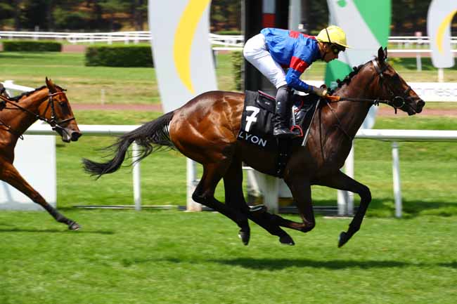 Photo d'arrivée de la course pmu PRIX DES IRIS à LYON PARILLY le Lundi 26 juin 2023