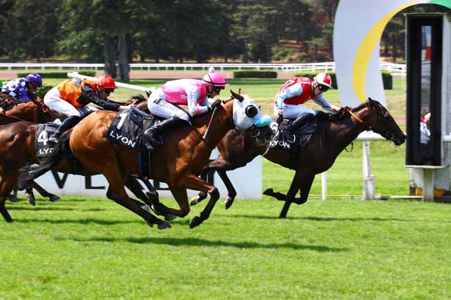 Photo d'arrivée de la course pmu PRIX DU CERCLE DE L'UNION à LYON PARILLY le Lundi 26 juin 2023