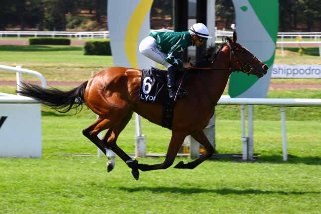 Photo d'arrivée de la course pmu METROPOLE IMMOBILIER - PRIX MUNET à LYON PARILLY le Lundi 26 juin 2023