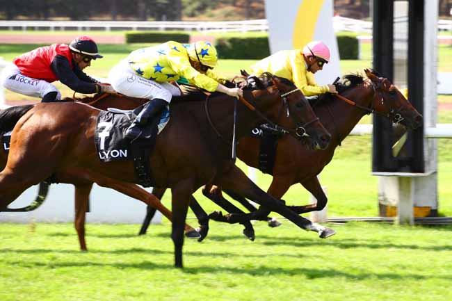 Photo d'arrivée de la course pmu PRIX VALANJOU à LYON PARILLY le Lundi 26 juin 2023