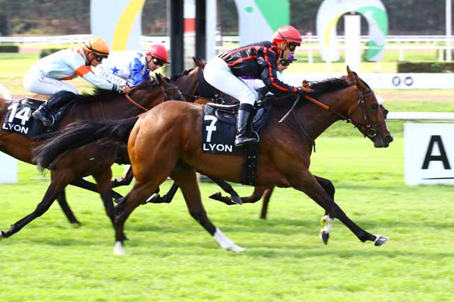 Photo d'arrivée de la course pmu IMPACT FM - PRIX DU PARC DU CHEVAL à LYON PARILLY le Lundi 26 juin 2023