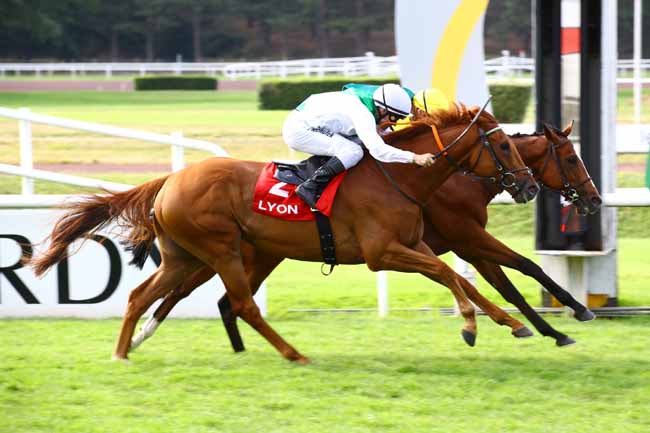 Photo d'arrivée de la course pmu PRIX FEDERATION DES COURSES DU CENTRE-EST à LYON PARILLY le Lundi 26 juin 2023