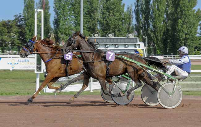 Photo d'arrivée de la course pmu PRIX DU BOIS DU BOUC à VICHY le Mercredi 28 juin 2023