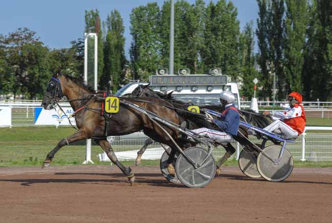 Photo d'arrivée de la course pmu PRIX DE COSNE-SUR-LOIRE à VICHY le Mercredi 28 juin 2023