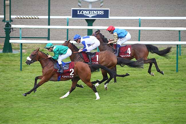 Photo d'arrivée de la course pmu QATAR COUPE DE FRANCE DES CHEVAUX ARABES à CHANTILLY le Mercredi 28 juin 2023