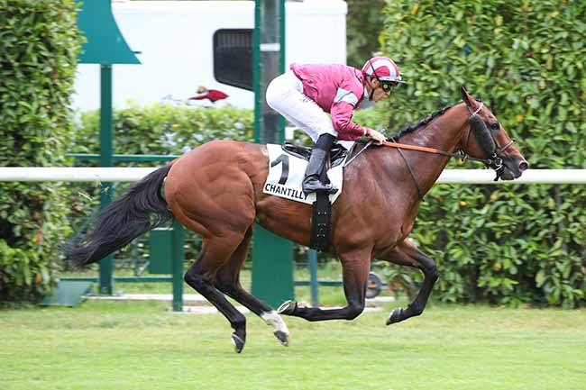 Photo d'arrivée de la course pmu PRIX HAMPTON à CHANTILLY le Mercredi 28 juin 2023