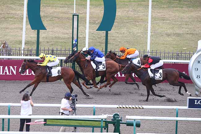 Photo d'arrivée de la course pmu PRIX DE RIQUEBOURG à CHANTILLY le Mercredi 28 juin 2023