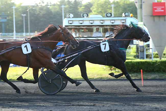 Photo d'arrivée de la course pmu PRIX NEMAUSA à PARIS-VINCENNES le Vendredi 30 juin 2023