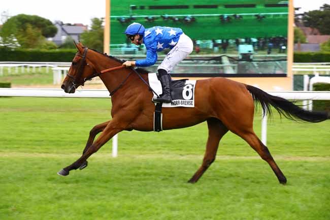 Photo d'arrivée de la course pmu PRIX UAP ACTIONNEURS (PRIX DU MANOIR DE VAUBENARD) à CLAIREFONTAINE le Vendredi 30 juin 2023