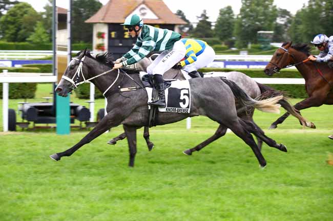 Photo d'arrivée de la course pmu PRIX DEVELOPPEMENT DURABLE (PRIX DE LA FONTAINE MARIE) à CLAIREFONTAINE le Vendredi 30 juin 2023