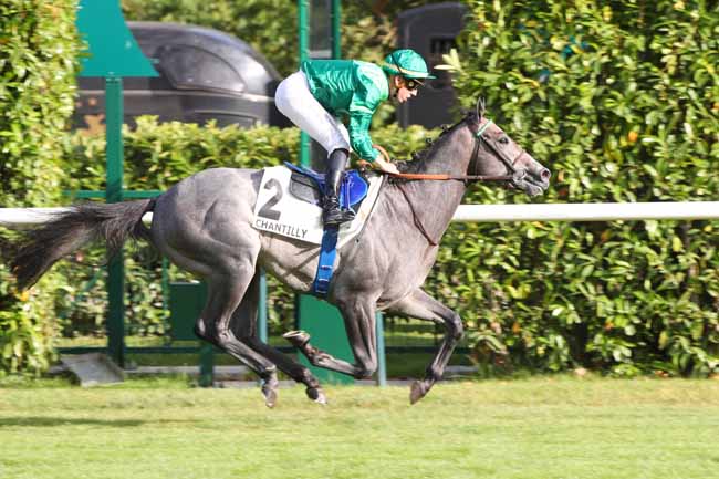 Photo d'arrivée de la course pmu PRIX DE LA CROIX DES VENEURS - B.P.E. LECIEUX à CHANTILLY le Samedi 1 juillet 2023